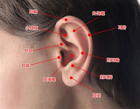 耳洞數量